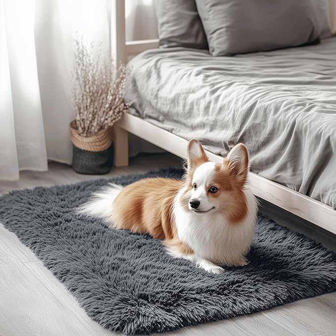 OLANLY 2x3 Machine Washable Small Bedside Rug, Soft Fluffy Shaggy Entryway by OLANLY