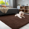 OLANLY 3x5 Machine Washable Small Bedside Rug, Soft Fluffy Shaggy Rugs by OLANLY