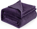 Bedsure GentleSoft Fleece Blankets Queen Size Purple by BEDSURE