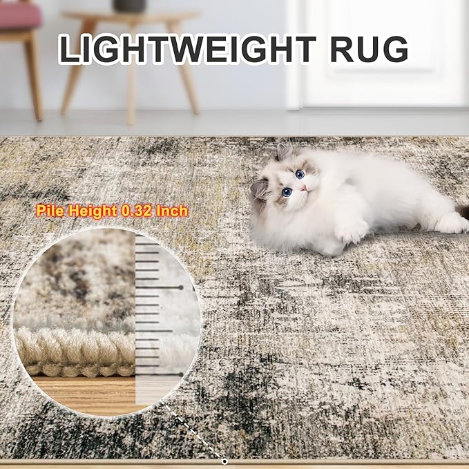 Area Rugs 10x12 Living Room - Image 7