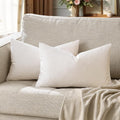 GIGIZAZA Beige Velvet Pillow Covers: Pack of 2 Lumbar Throw Pillows Soft Solid by GIGIZAZAFocusingonhomedecoration