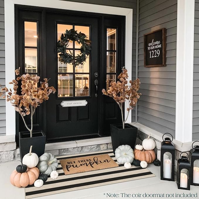 Front Door Mat Indoor Entrance - Image 4