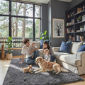 Rugs for Bedroom 4x6, Alfombras para Salas Shag Large Plush Soft Area Rug by Junhejiamei