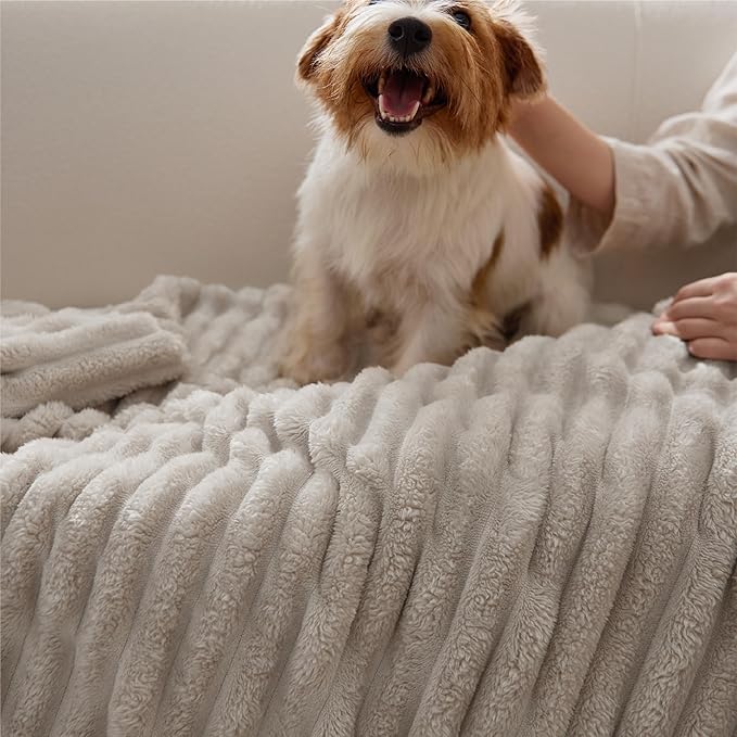 Bedsure GentleSoft Beige Throw Blanket - Image 9