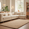 Ophanie Beige Rugs for Living Room Bedroom, 5x8 Fluffy Fuzzy Furry Carpet by Ophanie