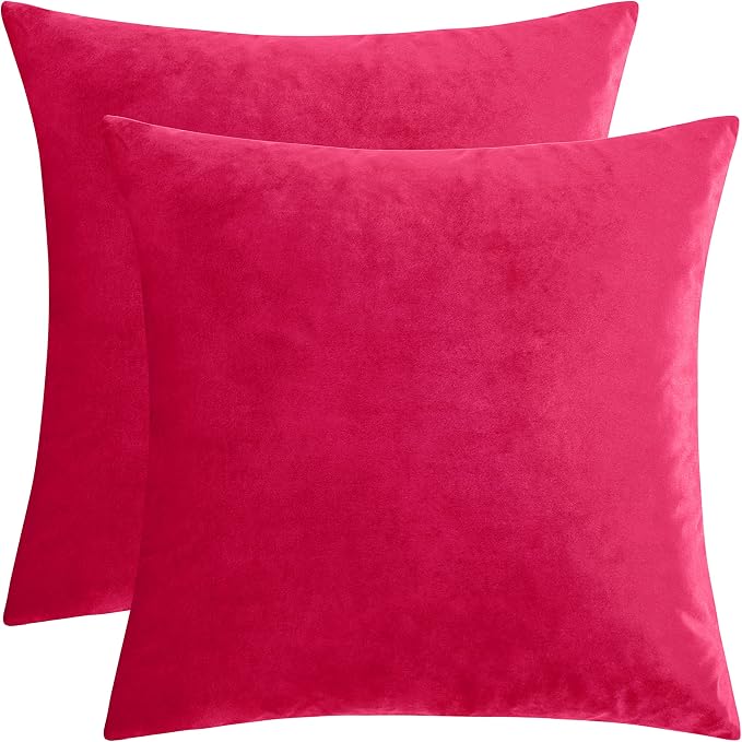 GIGIZAZA Decorative Couch Throw Pillow Covers, Pillow Cases Velvet Pillow Covers - Image 4