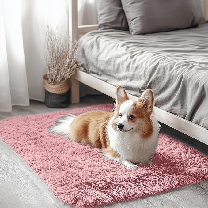 OLANLY 2x3 Machine Washable Small Bedside Rug, Soft Fluffy Shaggy Entryway by OLANLY