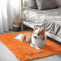 OLANLY 2x3 Machine Washable Small Bedside Rug, Soft Fluffy Shaggy Entryway by OLANLY