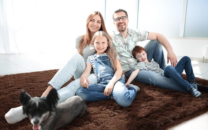LOCHAS Ultra Soft Indoor Modern Area Rugs Fluffy Living Room Carpets - Image 2