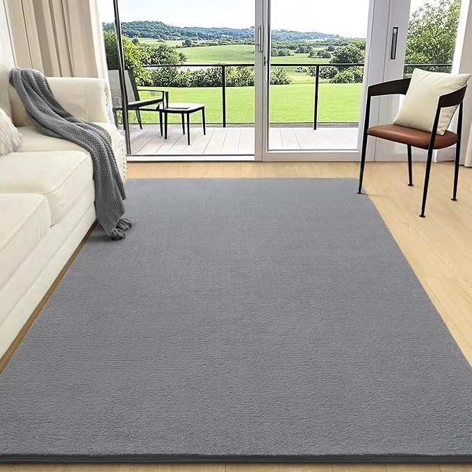 AROGAN 4x6 Feet Shag Area Rugs for Bedroom, Modern Washable Rugs for Living Room by AROGANAREARUG