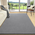 AROGAN 4x6 Feet Shag Area Rugs for Bedroom, Modern Washable Rugs for Living Room by AROGANAREARUG