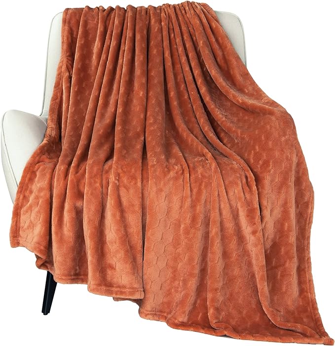 TOONOW Fleece Blanket Textured Fuzzy Plush Throw Blanket Twin Size 60" x 80" by TOONOW