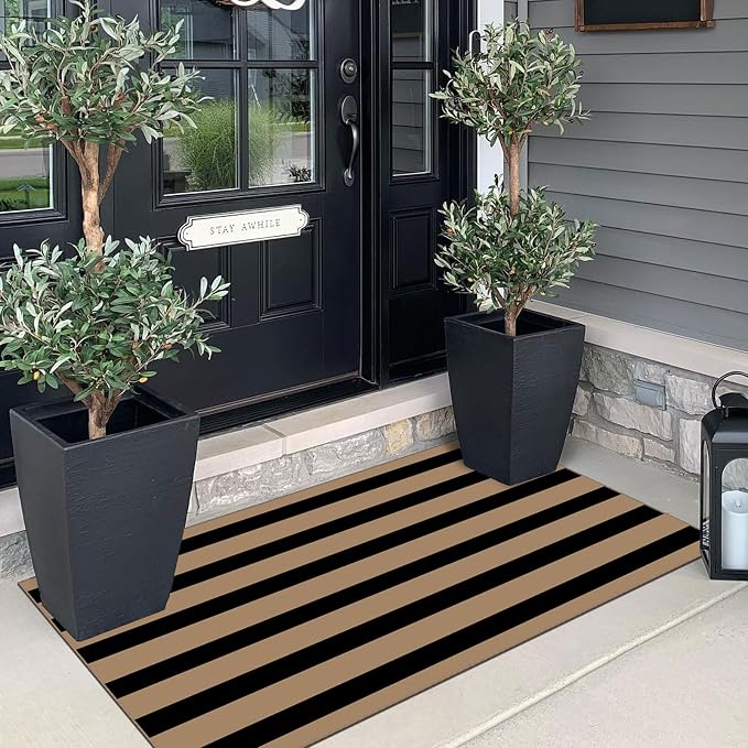 Front Door Mat Indoor Entrance - Image 4
