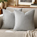 GIGIZAZA Silver Grey Velvet Pillow Covers 18x18 Pack of 2 Square Throw Pillow by GIGIZAZAFocusingonhomedecoration