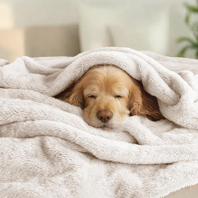 Exclusivo Mezcla Plush Fuzzy Fleece Bed Blanket Queen Size, Super Soft - Image 3