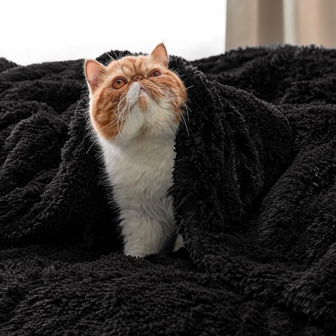 Bedsure GentleSoft Fuzzy Sherpa Faux Fur Twin Blanket Black Cozy Gifts - Image 8