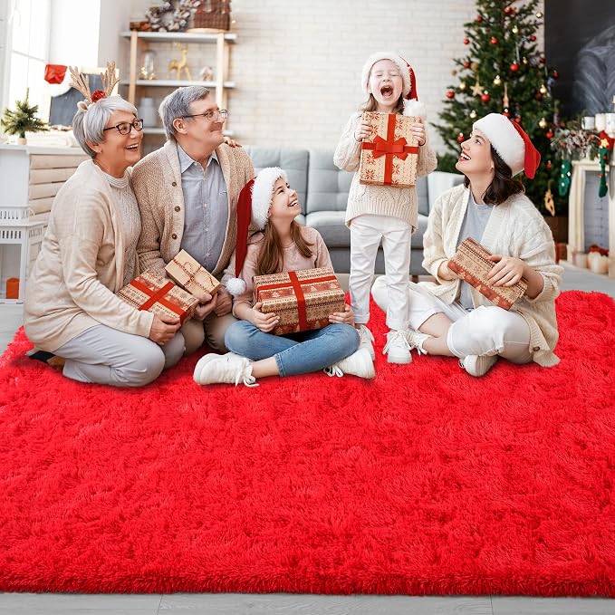 Chicrug Soft Area Rugs for Bedroom Living Room Plush Fluffy Rug 3x5 Feet - Image 6