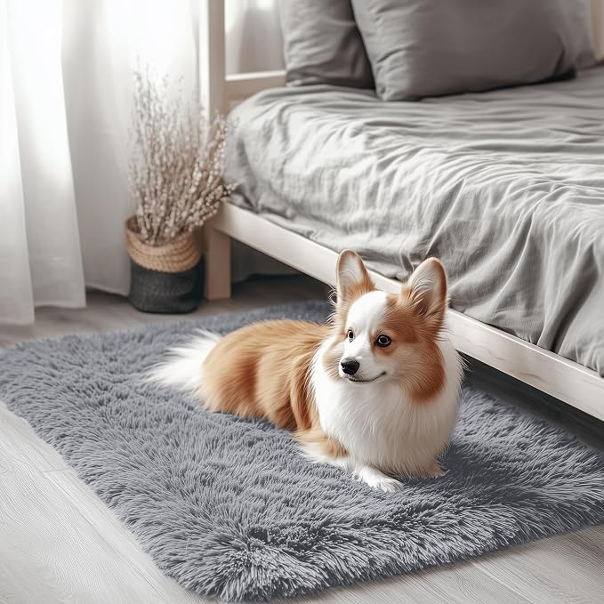 OLANLY 3x3 Machine Washable Small Bedside Rug, Soft Fluffy Shaggy Entryway by OLANLY
