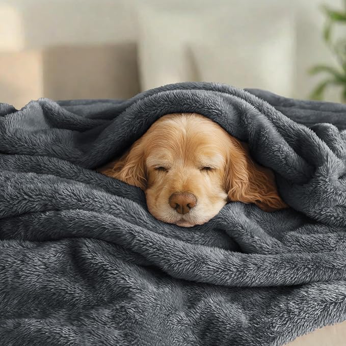 Exclusivo Mezcla Plush Fuzzy Fleece Bed Blanket Queen Size, Super Soft - Image 3