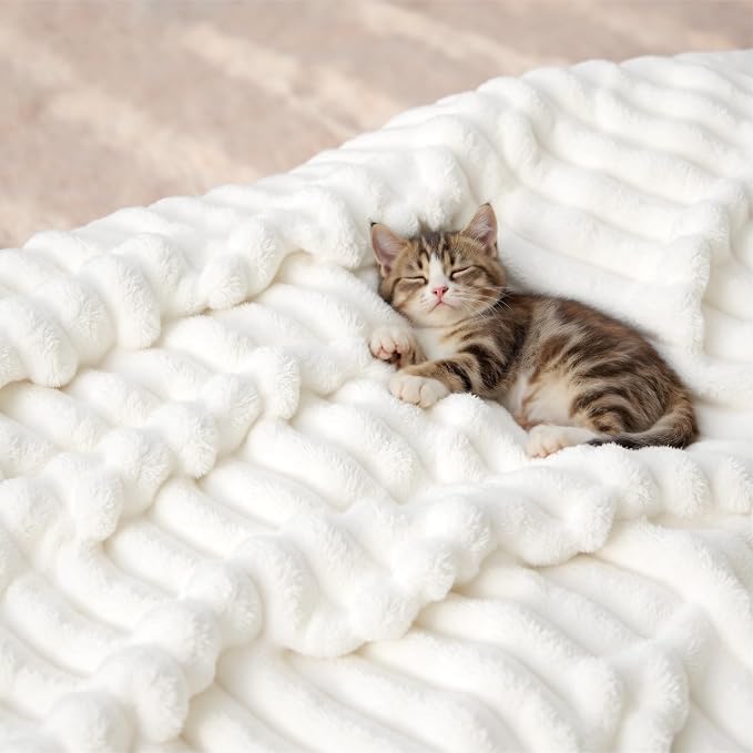 Bedsure GentleSoft Twin Blanket - Image 8