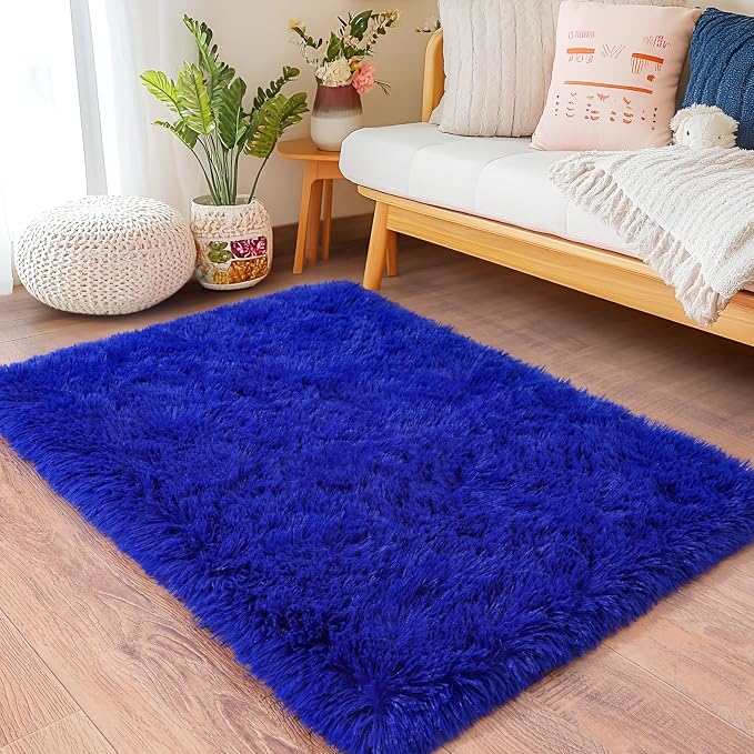 Small Rugs for Bedroom, Fluffy 2x3 Rug Throw Non Slip for Bedside Dorm Kids Room by Quntue