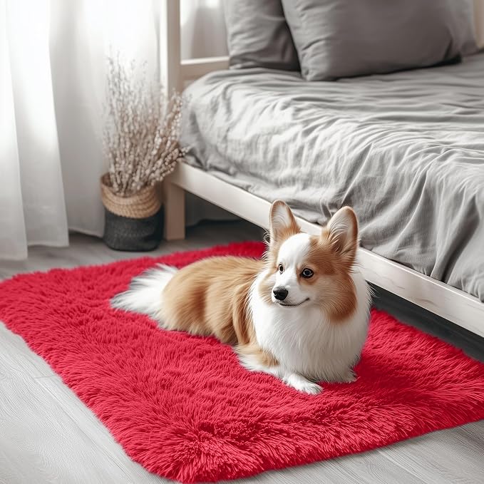 OLANLY 2x3 Machine Washable Small Bedside Rug, Soft Fluffy Shaggy Entryway by OLANLY