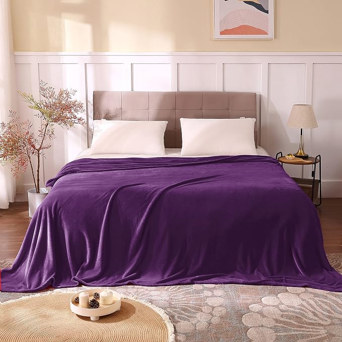 BEDELITE Fleece Blankets Queen Size Purple Throw Blankets - Image 2