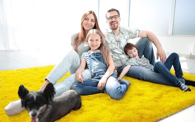 LOCHAS Ultra Soft Indoor Modern Area Rugs Fluffy Living Room Carpets - Image 2