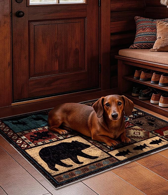 YIHOUSE Washable Entryway Rug, 2x3 Rustic Cabin Area Rug, Non-Slip Indoor Door - Image 5