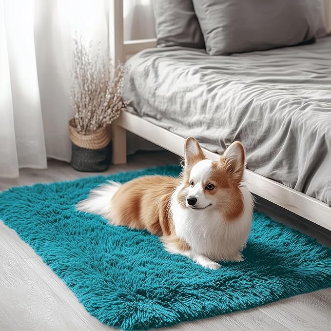 OLANLY 2x3 Machine Washable Small Bedside Rug, Soft Fluffy Shaggy Entryway by OLANLY