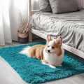 OLANLY 2x3 Machine Washable Small Bedside Rug, Soft Fluffy Shaggy Entryway by OLANLY