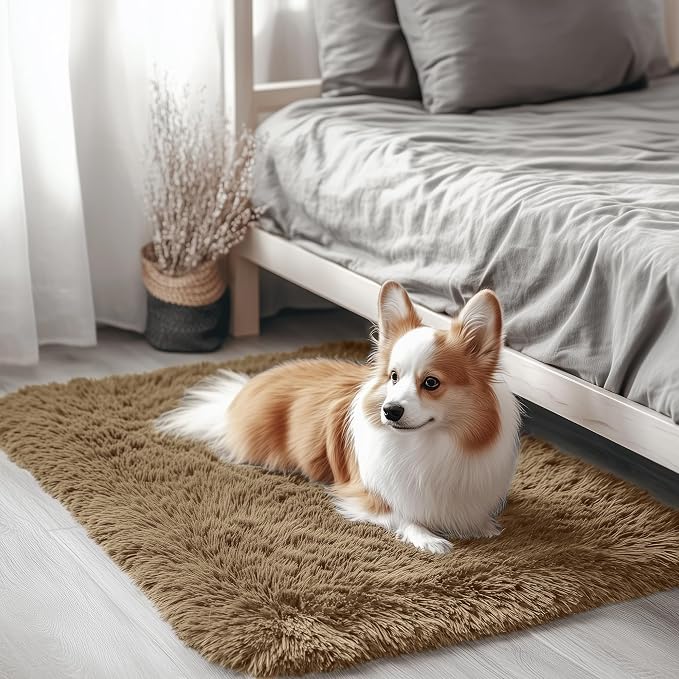 OLANLY 2x3 Machine Washable Small Bedside Rug, Soft Fluffy Shaggy Entryway by OLANLY