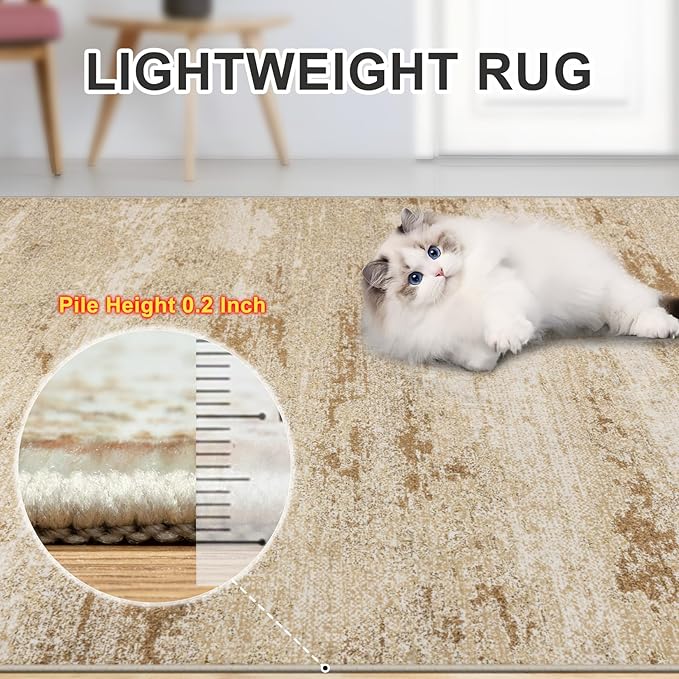 Area Rugs 10x12 Living Room - Image 6