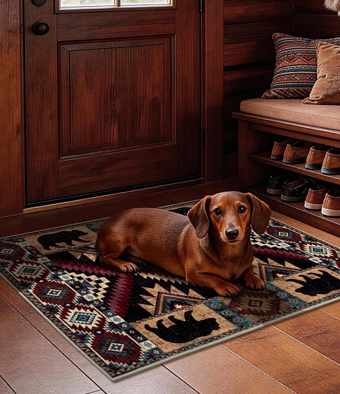 YIHOUSE Western Entryway Rug, 2x3 Rustic Washable Rug, Non-Slip Indoor Door Mat - Image 5