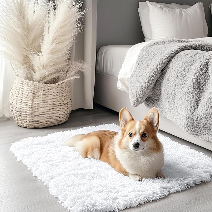 OLANLY 3x3 Machine Washable Small Bedside Rug, Soft Fluffy Shaggy Entryway by OLANLY