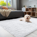 OLANLY 3x4 Machine Washable Accent Rug, Soft Fluffy Shaggy Area Rug by OLANLY