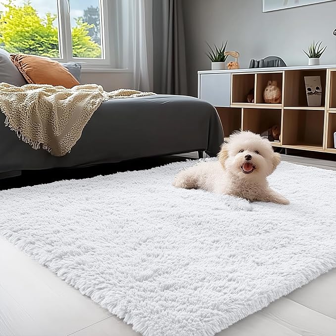OLANLY 3x4 Machine Washable Accent Rug, Soft Fluffy Shaggy Area Rug by OLANLY