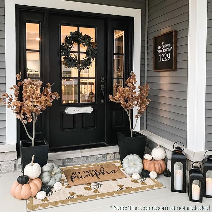 Front Door Mat Indoor Entrance - Image 4