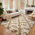 6x9 Ft Large Shag Rugs for Living Room Decor, Tie-Dyed Ultra Soft Fluffy Furry by Cuzwlovita