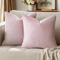 GIGIZAZA Decorative Couch Throw Pillow Cover, Square Sofa Velvet Throw Cushions by GIGIZAZAFocusingonhomedecoration