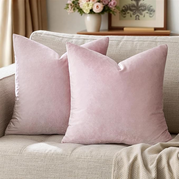 GIGIZAZA Decorative Couch Throw Pillow Cover, Square Sofa Velvet Throw Cushions by GIGIZAZAFocusingonhomedecoration