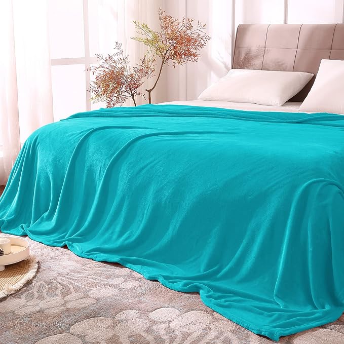 BEDELITE Fleece Blankets Queen Size Teal Throw Blankets by BEDELITE