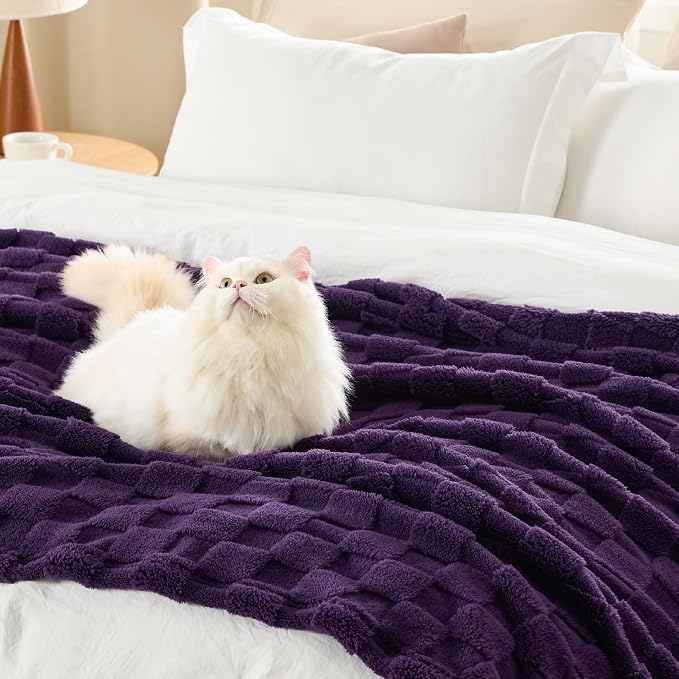 Bedsure GentleSoft Purple Throw Blanket - Image 5