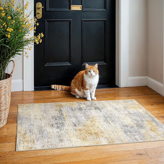 2x4 Washable Entryway Runner Rug: Abstract Small Area Rug Soft Non Slip Door Mat by Ksrau