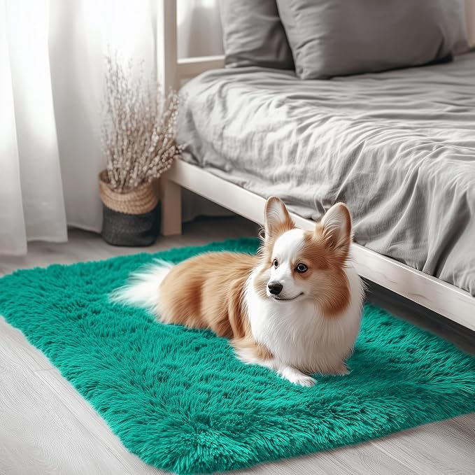 OLANLY 2x3 Machine Washable Small Bedside Rug, Soft Fluffy Shaggy Entryway by OLANLY
