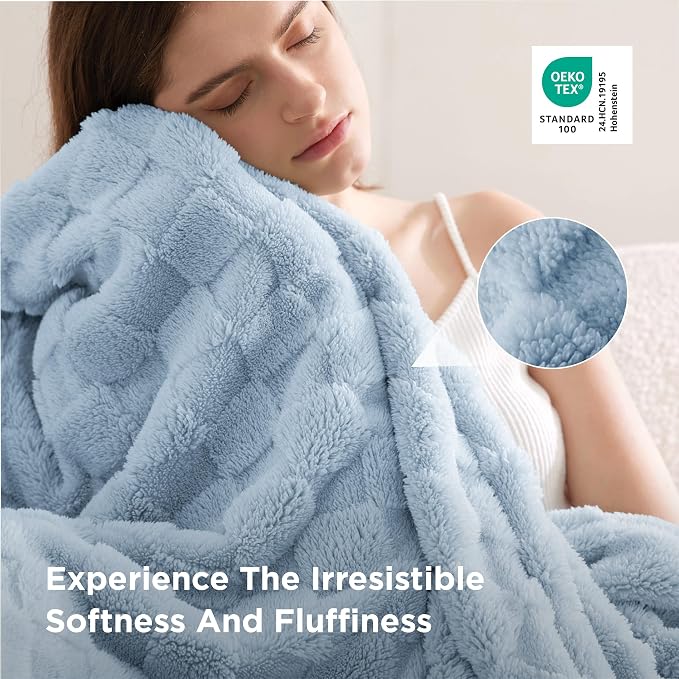 Bedsure GentleSoft Light Blue Throw Blanket - Image 4