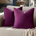 GIGIZAZA Decorative Couch Throw Pillow Covers, Pillow Cases Velvet Pillow Covers by GIGIZAZAFocusingonhomedecoration
