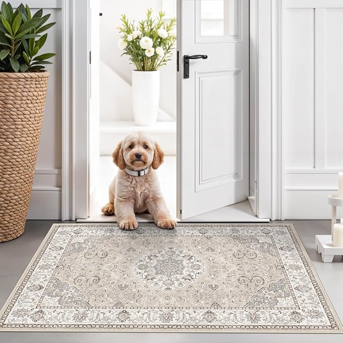 Washable 2x3 Entryway Area Rug by HYHAOYUNLAI