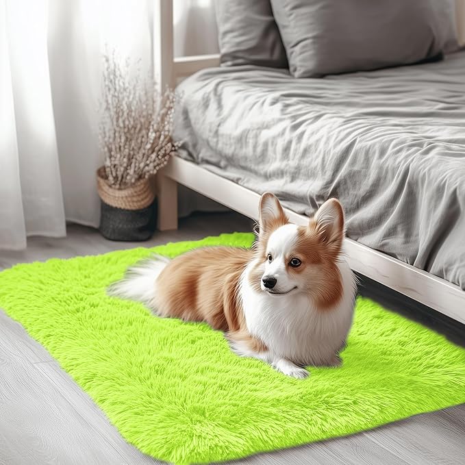 OLANLY 2x3 Machine Washable Small Bedside Rug, Soft Fluffy Shaggy Entryway by OLANLY