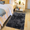Pionblank Fluffy Small Rug for Bedroom 2x3 Feet, Shag Soft Area Rug, Modern by PIONBLANK